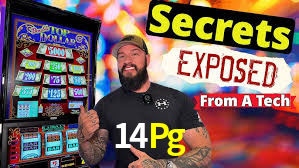 14Pg: A Experiência de Casino com Jogos de Mesa ao Vivo